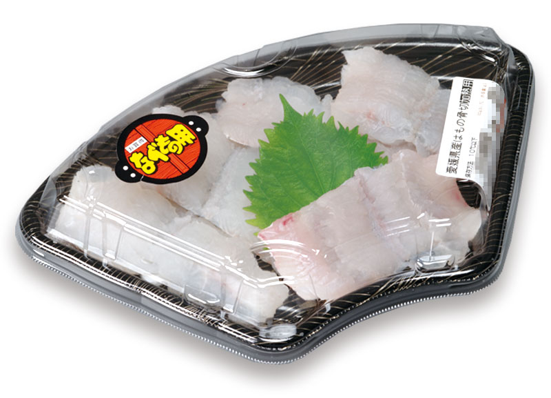 example_sengyo1013